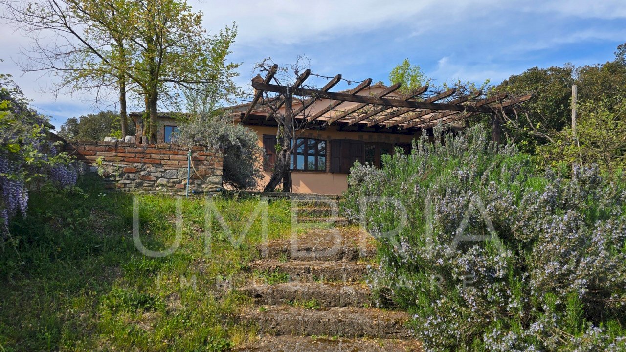 03pergola.jpg - Casale Strada Montiano 10, Ficulle - foto 3