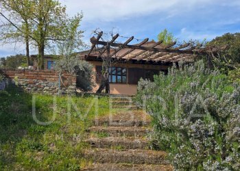 03pergola.jpg - Casale Strada Montiano 10, Ficulle - foto 3