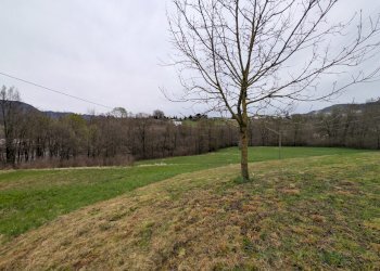 PXL_20260326_082128681.jpg - Rustico Via Valle, Agnosine - foto 5