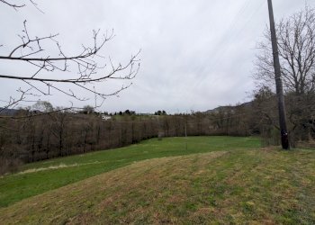 PXL_20260326_082153301.jpg - Rustico Via Valle, Agnosine - foto 7