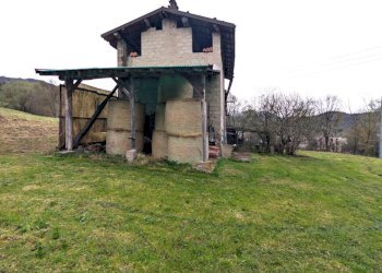 PXL_20260326_082307452.jpg - Rustico Via Valle, Agnosine - foto 11