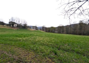 PXL_20260326_083326474.jpg - Rustico Via Valle, Agnosine - foto 28