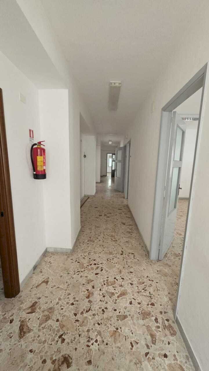 WhatsApp Image 2026-04-13 at 11.26.59.jpeg - Appartamento Via Giuseppe Martinez, Acireale - foto 1