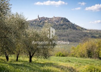 la casa di carla 1.jpg - Casa semi indipendente Strada Provinciale 418, Todi - foto 4