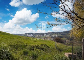 la casa di carla 26.jpg - Casa semi indipendente Strada Provinciale 418, Todi - foto 26