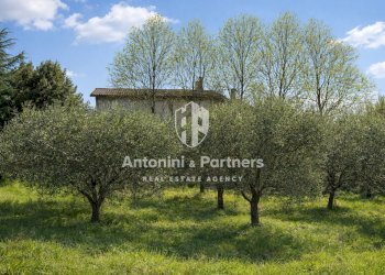 la casa di carla 23.jpg - Casa semi indipendente Strada Provinciale 418, Todi - foto 29