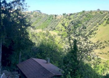 IMG-20260413-WA0020.jpg - Bilocale Via Della Valle  9, Morlupo - foto 10