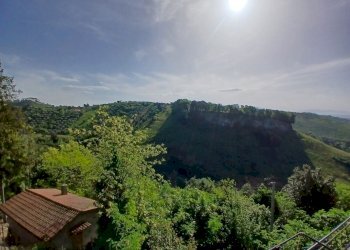 20260415_092003.jpg - Bilocale Via Della Valle  9, Morlupo - foto 29