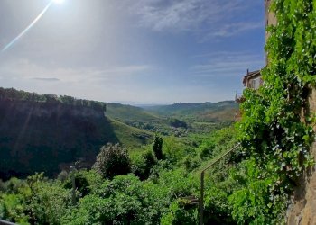 20260415_092012.jpg - Bilocale Via Della Valle  9, Morlupo - foto 30