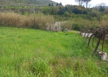 13.jpeg - Casa indipendente SP33a KM 6, 550, Castel Madama - foto 15