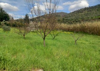 14.jpeg - Casa indipendente SP33a KM 6, 550, Castel Madama - foto 16