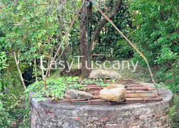 image00021.jpeg - Villa Via di Montecarlo, Montecarlo - foto 9