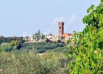 image00016.jpeg - Villa Via di Montecarlo, Montecarlo - foto 27