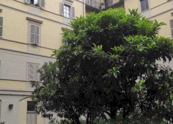 23.jpeg - Mansarda Via Giuseppe Mazzini 56, Torino (zona Centro) - foto 23