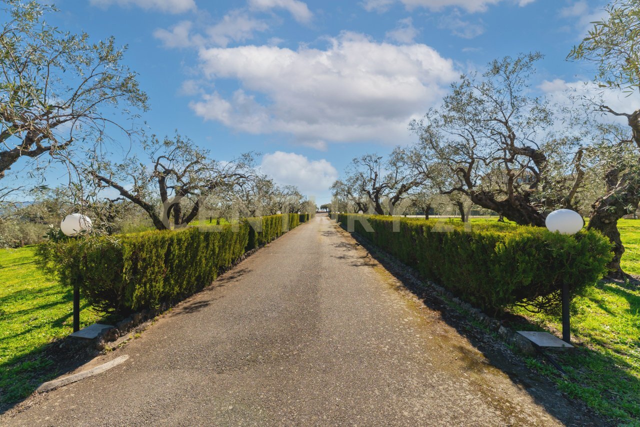 Villa Randazzo (14).jpg - Villa Strada Comunale Calderara 5, Randazzo - foto 3