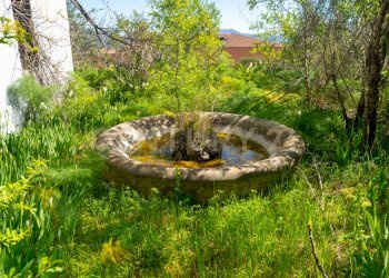 Via Panebianco snc (26).jpg - Casa indipendente Via Panebianco 20, Catania - foto 18