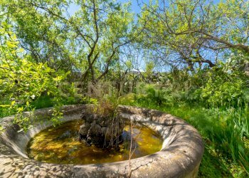 Via Panebianco snc (27).jpg - Casa indipendente Via Panebianco 20, Catania - foto 19