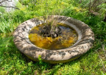 Via Panebianco snc (28).jpg - Casa indipendente Via Panebianco 20, Catania - foto 20