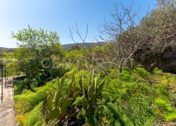 Via Panebianco snc (37).jpg - Casa indipendente Via Panebianco 20, Catania - foto 29