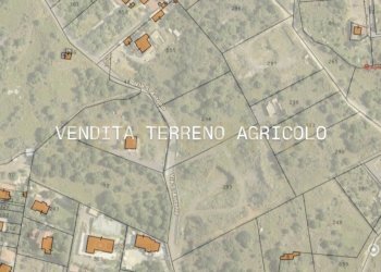 IMG_5896.jpeg - Terreno agricolo Via San Antonio 2, Camporotondo Etneo - foto 1