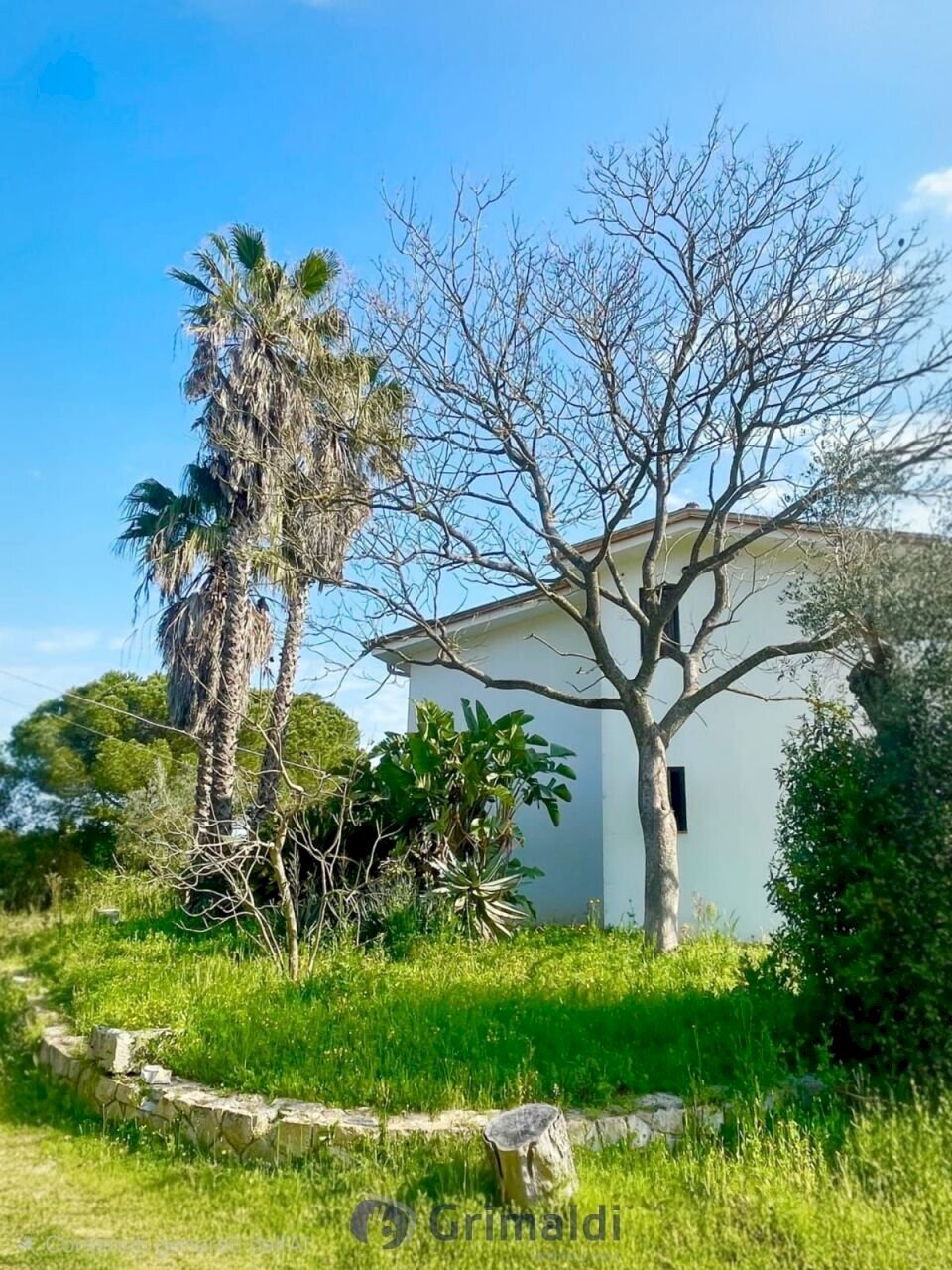 WhatsApp Image 2026-04-11 at 10.27.17 (2)_risultat - Villa strada provinciale 39, Maglie - photo 3