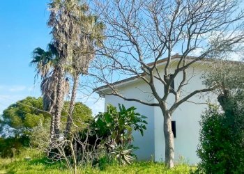 WhatsApp Image 2026-04-11 at 10.27.17 (2)_risultat - Villa strada provinciale  39, Maglie - foto 3