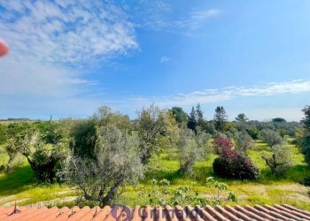 WhatsApp Image 2026-04-11 at 10.27.20 (5)_risultat - Villa strada provinciale  39, Maglie - foto 9