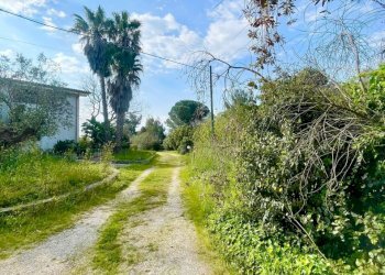 WhatsApp Image 2026-04-11 at 10.27.17 (7)_risultat - Villa strada provinciale  39, Maglie - foto 25