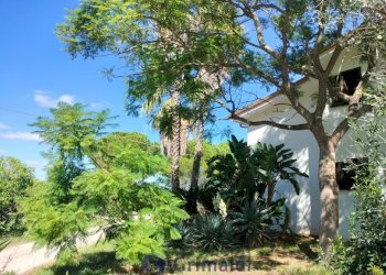 233407b2-3f00-4ff7-b41e-c06969db5366_risultato.jpg - Villa strada provinciale  39, Maglie - photo 5