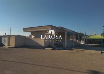 3.jpg - Ristorante Via Venere 16, Melendugno - foto 26