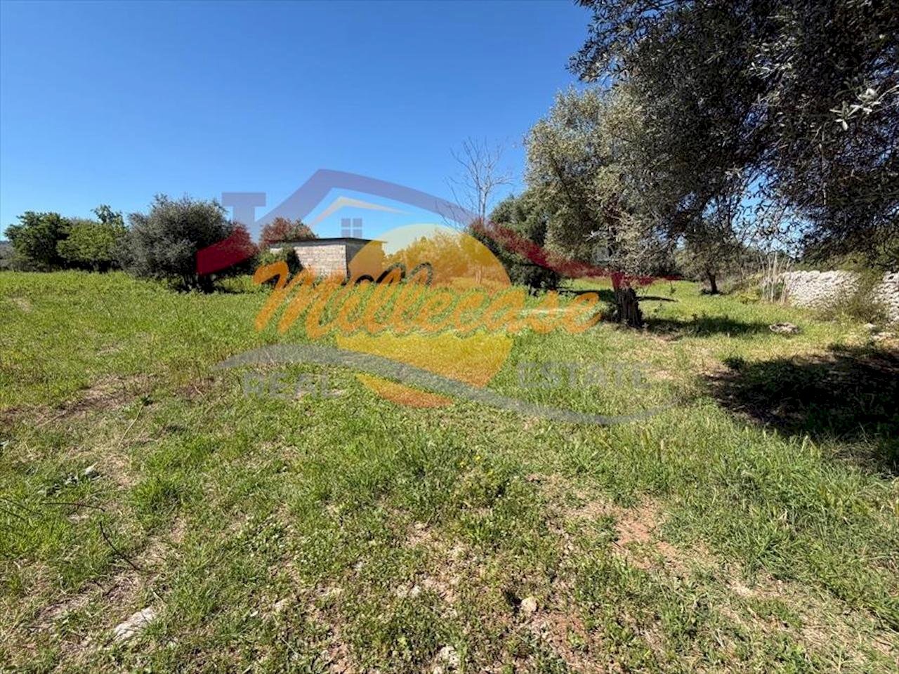 0debe752-00e4-4268-aa16-ecc6f91ac49e.jpeg - Villa CONTRADA MONASTERI, Siracusa - foto 1