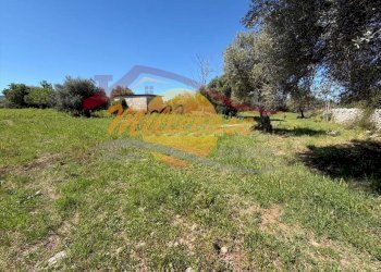 0debe752-00e4-4268-aa16-ecc6f91ac49e.jpeg - Villa CONTRADA MONASTERI, Siracusa - foto 1