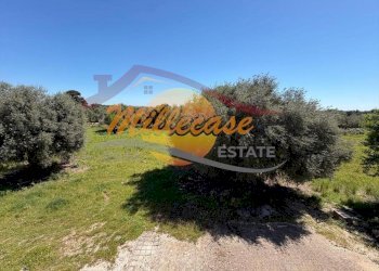 2c36b9e1-05af-4749-ae61-5ebb9de44c58.jpeg - Villa CONTRADA MONASTERI, Siracusa - foto 4