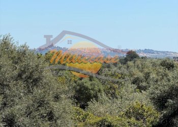 088e2b97-e8dd-4e2c-88f6-eeefdd2572c8.jpeg - Villa CONTRADA MONASTERI, Siracusa - foto 12