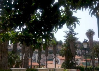 WhatsApp Image 2026-03-27 at 16.31.54.jpeg - Villa Via Zeffiro Massa 344, Sanremo - photo 23