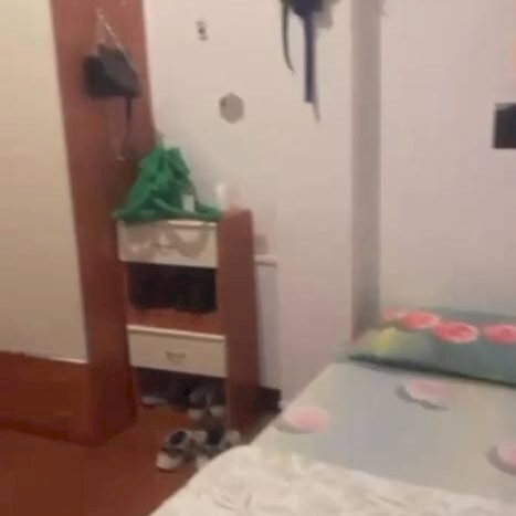 Terreno non edificabile Bologna - foto 3