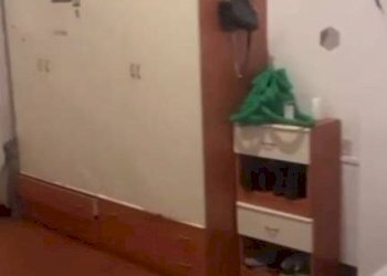 Terreno non edificabile Bologna - foto 2