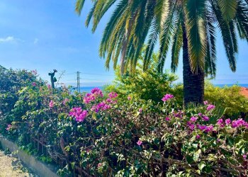 Bilocale Via Salvador Allende, 9, Cipressa - foto 27