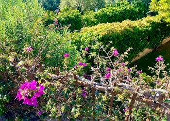 Bilocale Via Salvador Allende, 9, Cipressa - foto 30