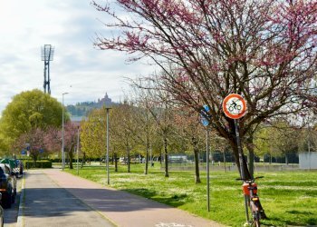 Four-room apartment via Valdossola, 19, Bologna (neighborhood Costa Saragozza) - photo 20