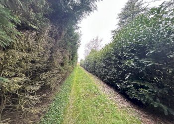 Casa indipendente Quargnento - foto 34