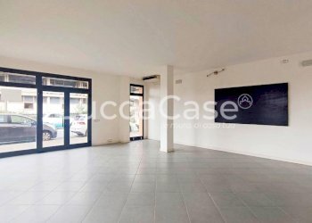 Commercial Premises Massarosa - photo 4