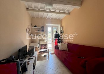 Terratetto - Terracielo Lucca (zona Sorbano del Vescovo) - foto 5