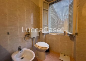 Terratetto - Terracielo Lucca (zona Sorbano del Vescovo) - foto 14