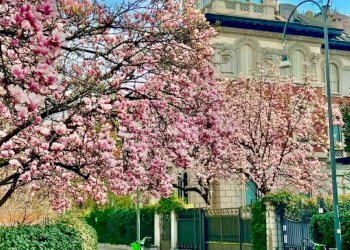 Appartamento Milano - foto 24