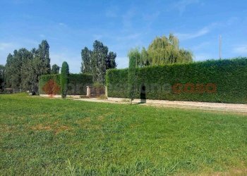 Rustic via maestra di Baudenasca, Pinerolo - photo 15