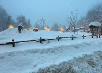 Trilocale Roburent - foto 22