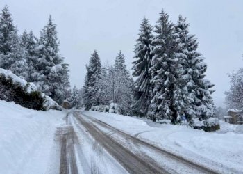 Trilocale Roburent - foto 24