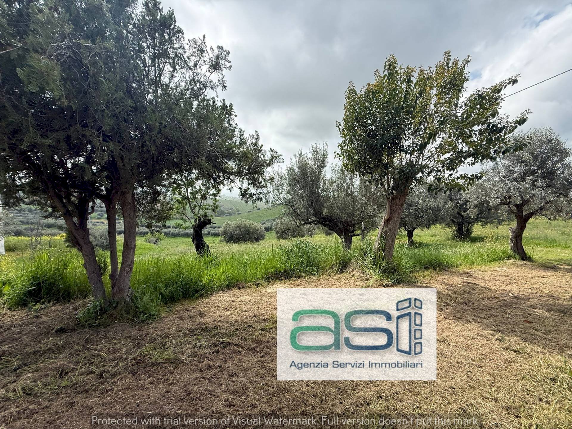 Foto 3 - Independent house VIA SAN ROCCO, Controguerra - photo 3