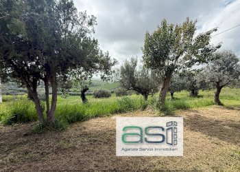 Foto 3 - Casa indipendente VIA SAN ROCCO, Controguerra - foto 3